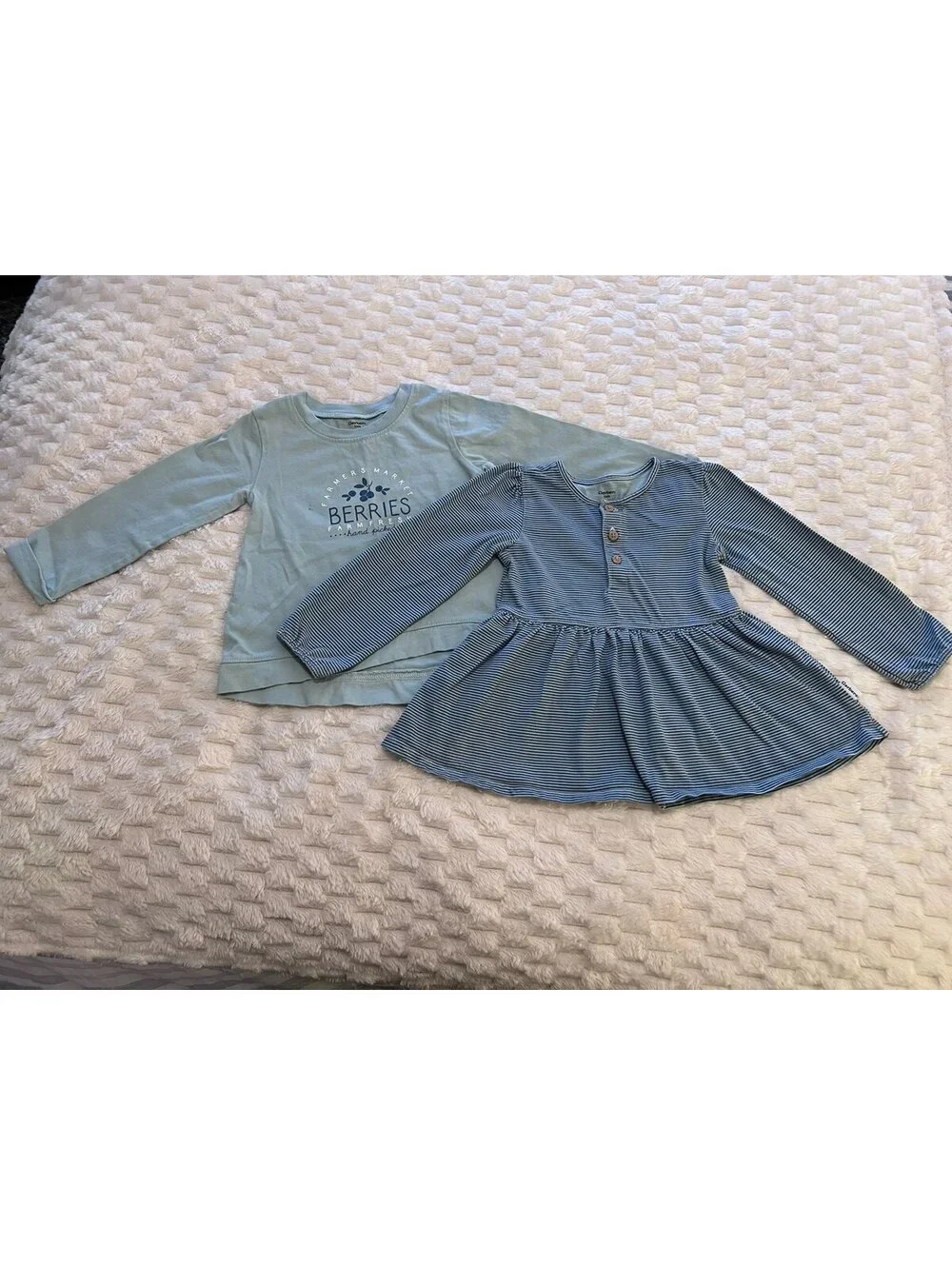 Gerber Girls Long Sleeve Shirt Set (3T)